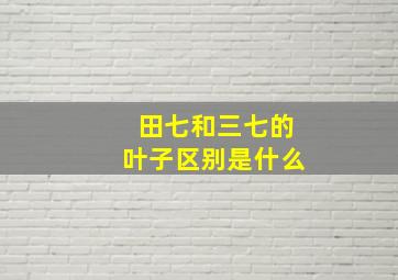 田七和三七的叶子区别是什么