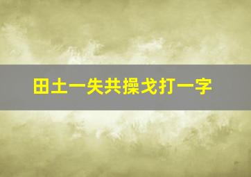 田土一失共操戈打一字