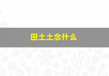 田土土念什么