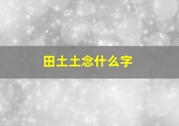 田土土念什么字