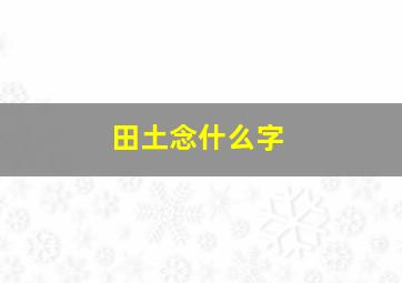 田土念什么字