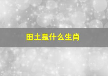 田土是什么生肖