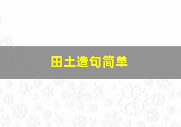 田土造句简单