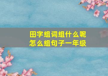 田字组词组什么呢怎么组句子一年级