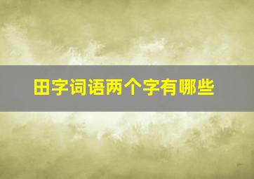 田字词语两个字有哪些