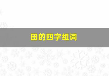 田的四字组词