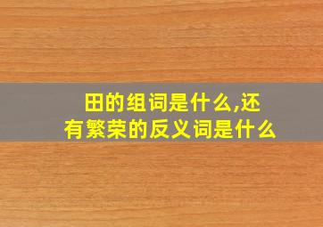 田的组词是什么,还有繁荣的反义词是什么