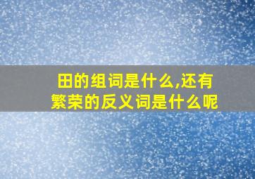 田的组词是什么,还有繁荣的反义词是什么呢