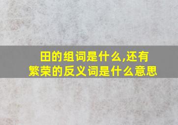 田的组词是什么,还有繁荣的反义词是什么意思