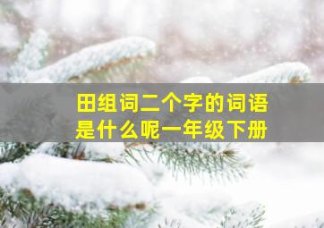 田组词二个字的词语是什么呢一年级下册