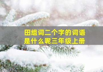 田组词二个字的词语是什么呢三年级上册