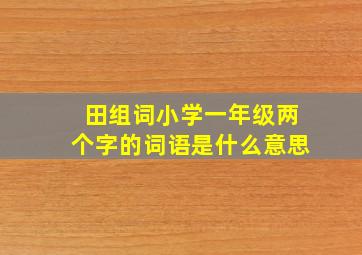 田组词小学一年级两个字的词语是什么意思