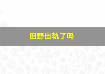 田野出轨了吗