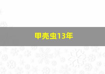 甲壳虫13年