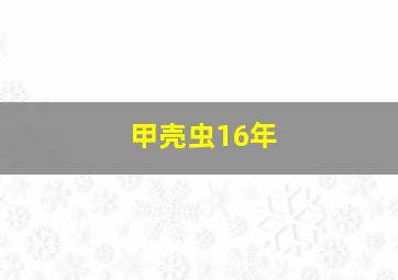 甲壳虫16年