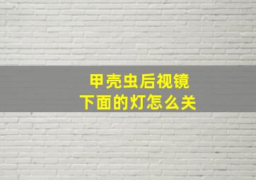 甲壳虫后视镜下面的灯怎么关