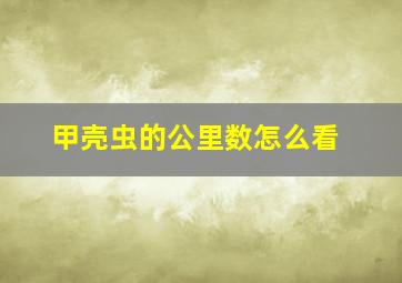 甲壳虫的公里数怎么看