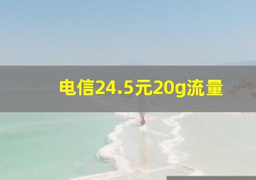 电信24.5元20g流量