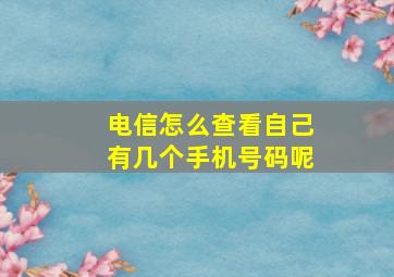 电信怎么查看自己有几个手机号码呢