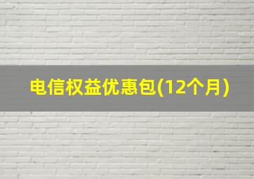 电信权益优惠包(12个月)