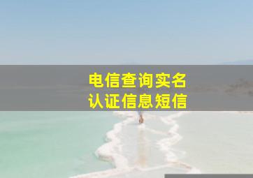 电信查询实名认证信息短信