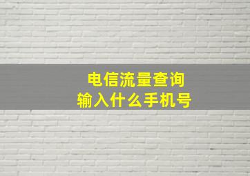 电信流量查询输入什么手机号