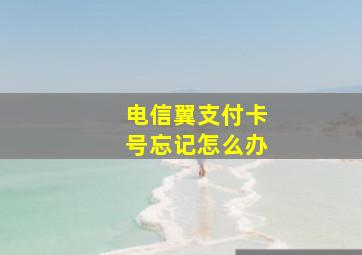 电信翼支付卡号忘记怎么办