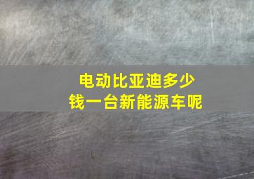 电动比亚迪多少钱一台新能源车呢