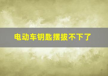 电动车钥匙摆拔不下了