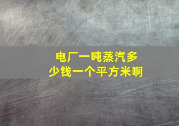 电厂一吨蒸汽多少钱一个平方米啊