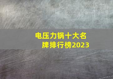 电压力锅十大名牌排行榜2023