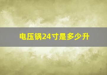 电压锅24寸是多少升