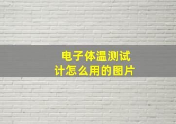 电子体温测试计怎么用的图片