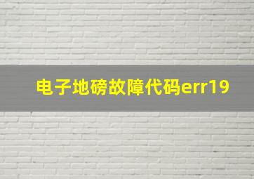 电子地磅故障代码err19