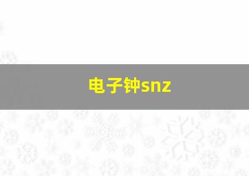 电子钟snz