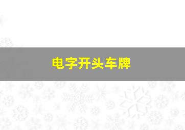 电字开头车牌