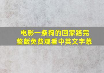 电影一条狗的回家路完整版免费观看中英文字幕