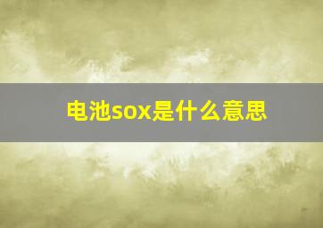 电池sox是什么意思