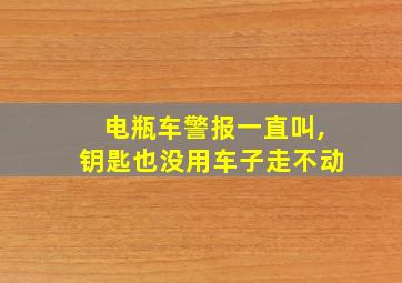 电瓶车警报一直叫,钥匙也没用车子走不动