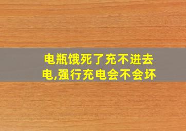 电瓶饿死了充不进去电,强行充电会不会坏