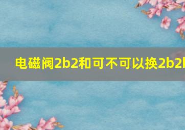 电磁阀2b2和可不可以换2b2b