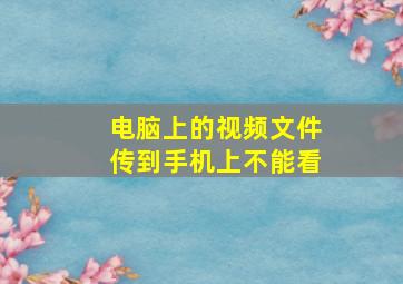 电脑上的视频文件传到手机上不能看