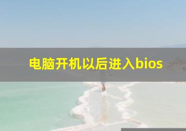 电脑开机以后进入bios