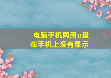 电脑手机两用u盘在手机上没有显示