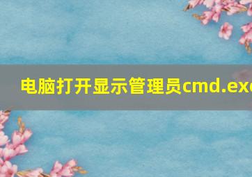 电脑打开显示管理员cmd.exe