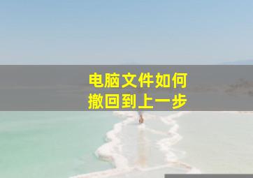 电脑文件如何撤回到上一步