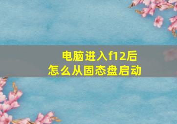 电脑进入f12后怎么从固态盘启动