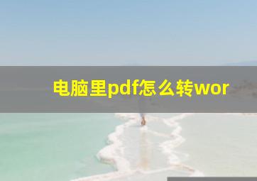 电脑里pdf怎么转wor