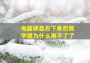 电脑键盘右下角的数字键为什么用不了了