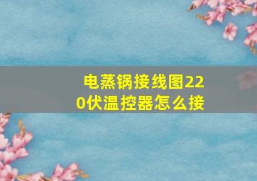 电蒸锅接线图220伏温控器怎么接